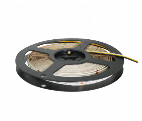 Đèn LED dây Tunable White WW